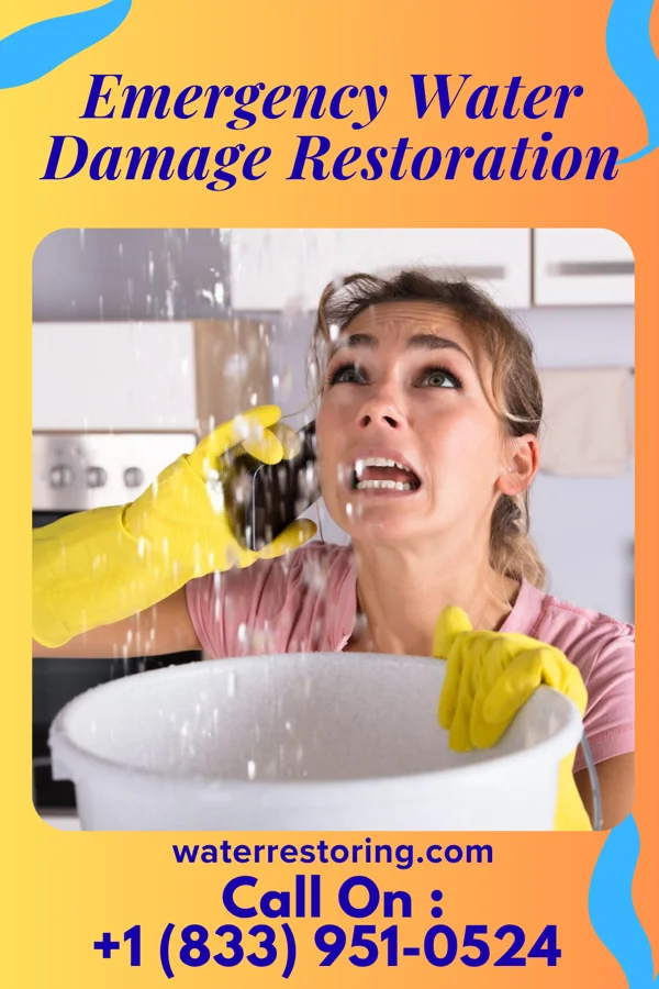 Emergency Water Damage Restoration in Deephaven, MN